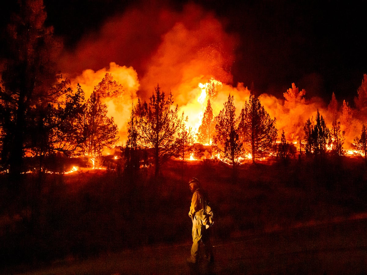 Image linked from the original feed: Wildfires are more extreme in Europe and North America, but global burning is oddly decreasing