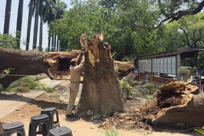 Dust storms and lightning kill at least 96 people in northern India