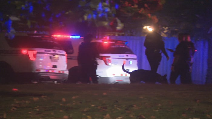 2 detained following carjacking in Miami