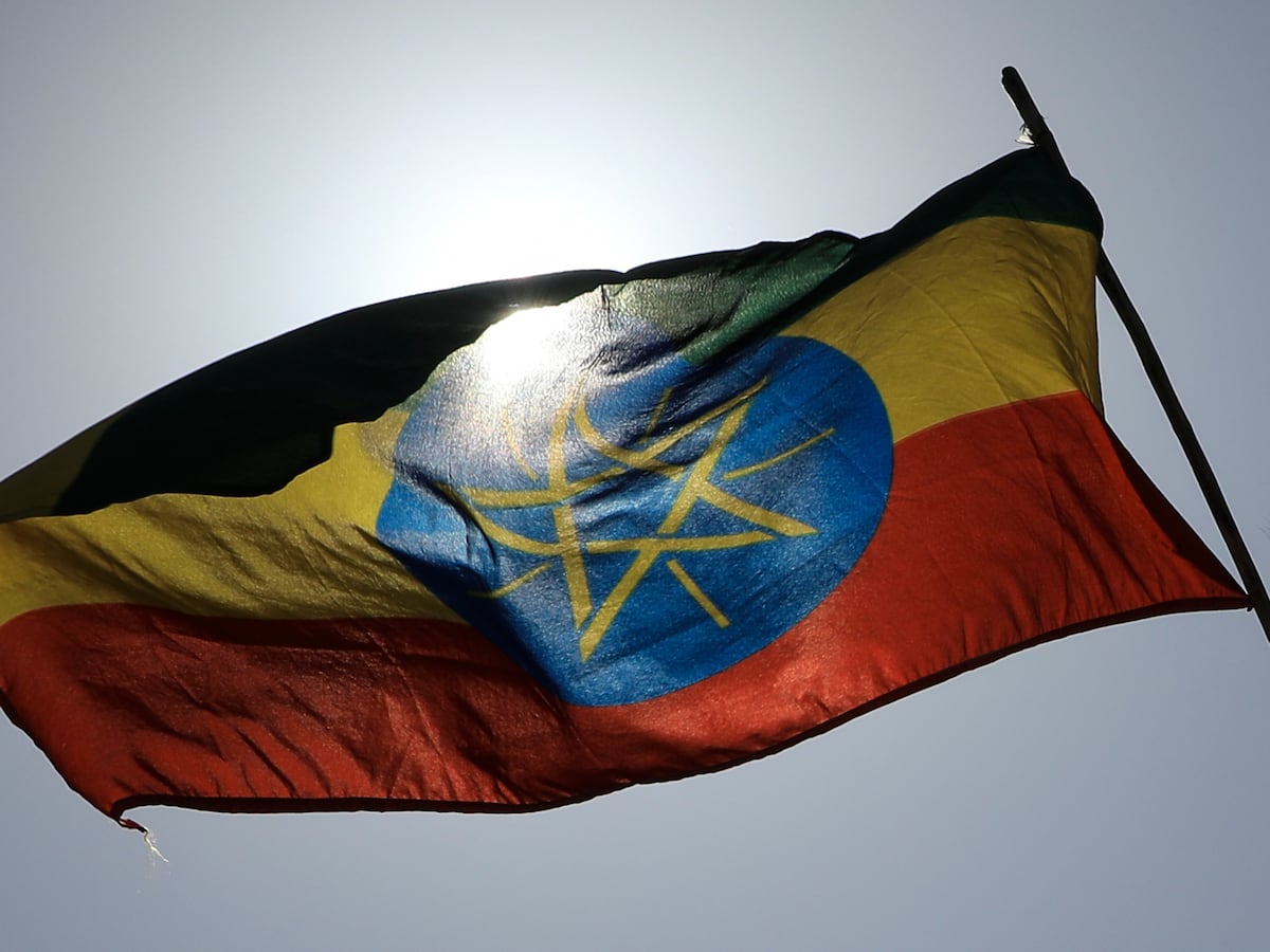 Ethiopian Federal Forces Reportedly Retake Mekelle Airport from Tigrayan Fighters