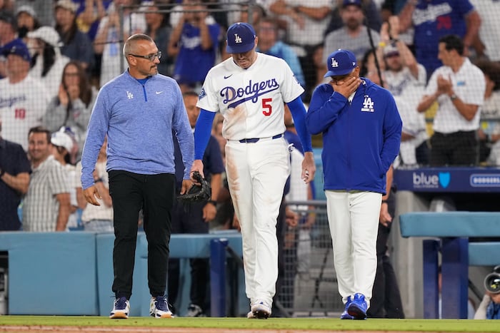 Freeman Avoids Major Injury in Frightening Dugout Fall