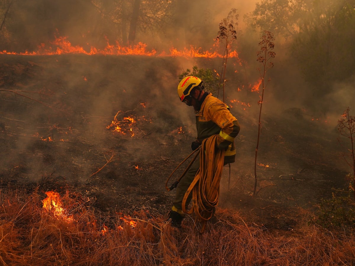 Image linked from the original feed: Human-caused climate change made Spanish, French fires much more likely, scientists calculate