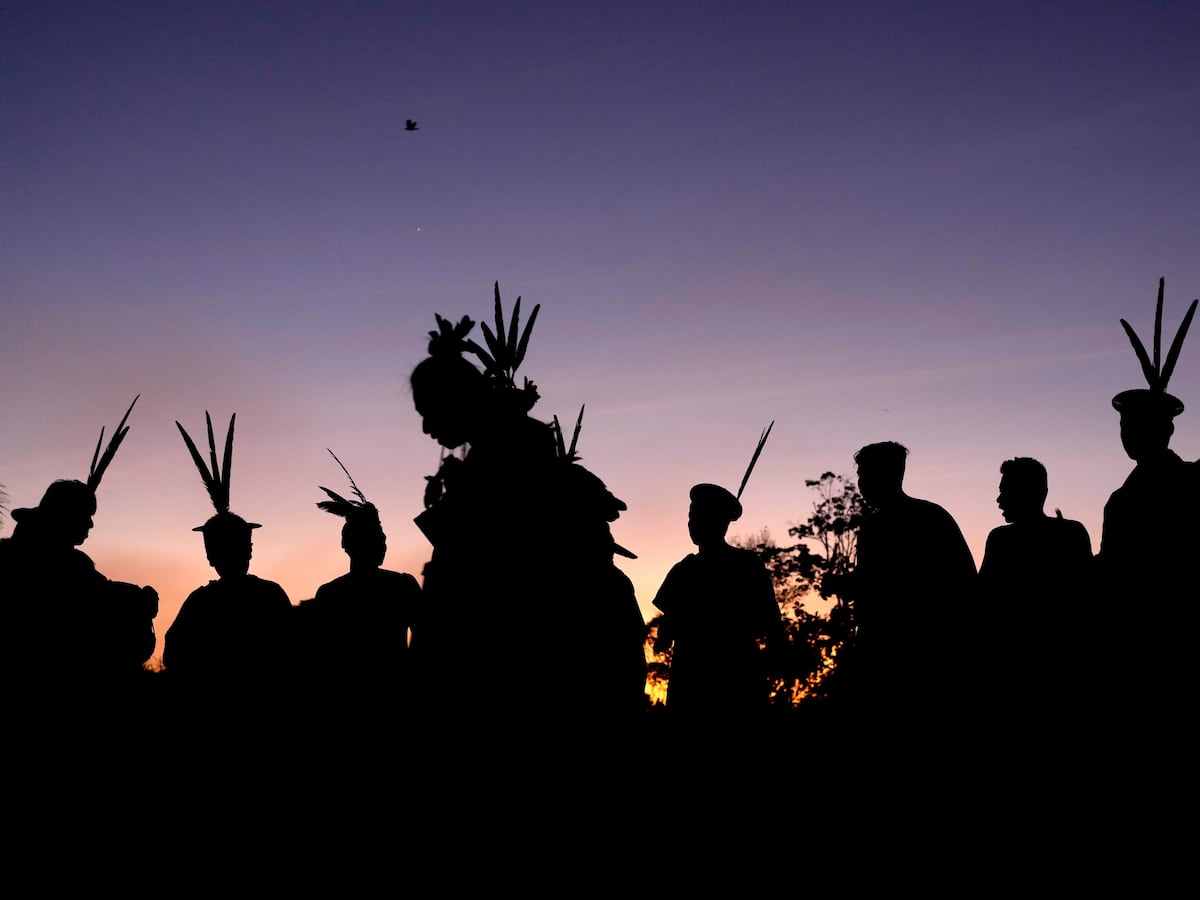 Image linked from the original feed: A model Indigenous territory in Brazil's Amazon seeks protection from criminal gangs