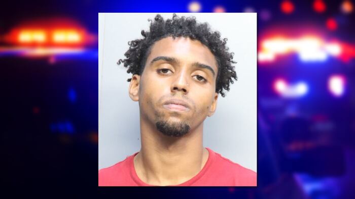 Man accused of pulling gun on woman, 4 children in Miami road rage incident