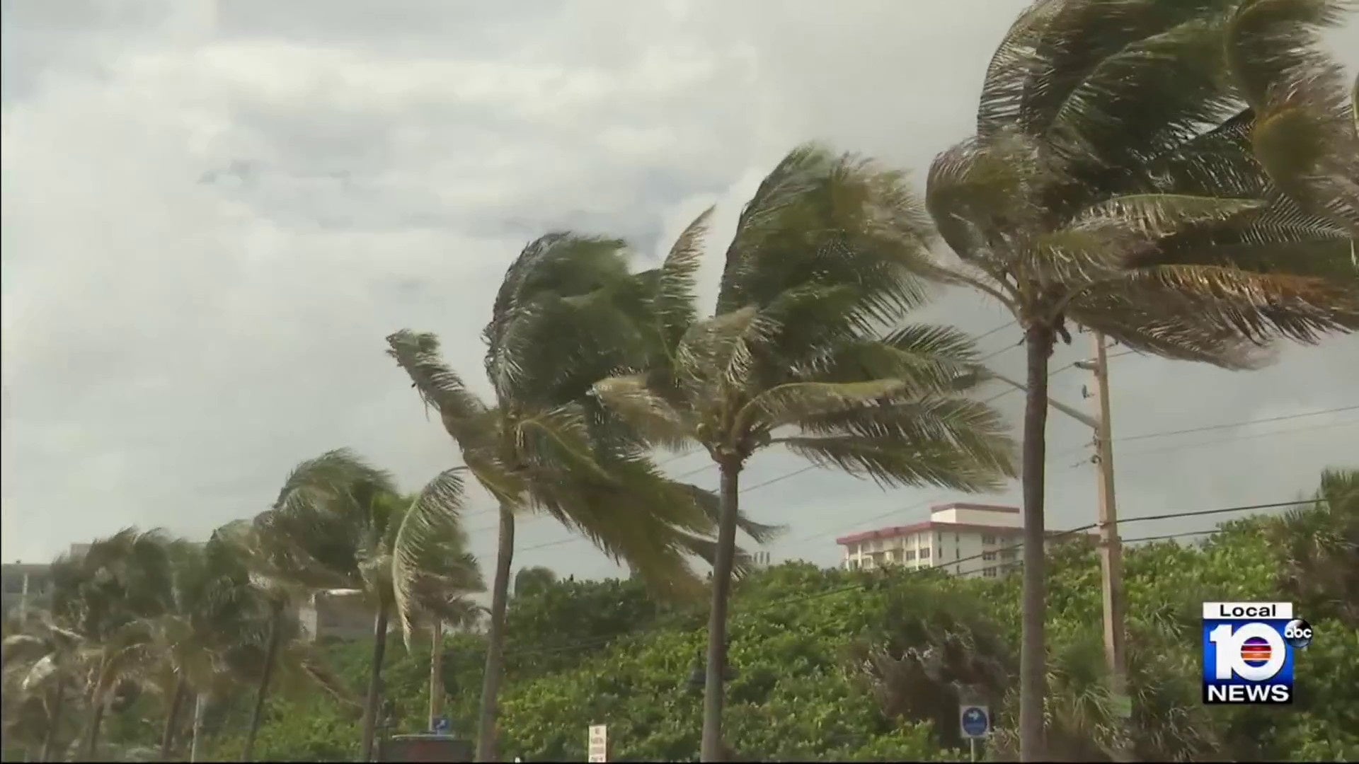 Did Key West Survive the Hurricane? Shocking Truth Revealed!