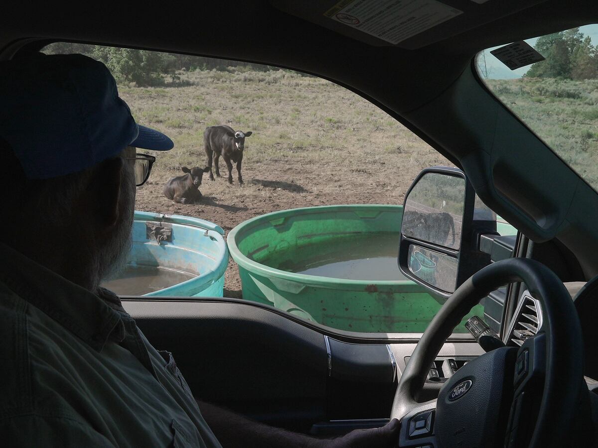 Image linked from the original feed: Water hauling is the new chore no rancher asked for