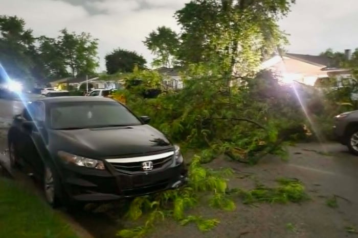 Tornadoes in Illinois and Indiana leave residents grappling with damage; cleanup efforts underway