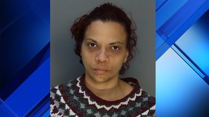 Woman accused of pointing gun at sleeping man inside Miami-Dade efficiency
