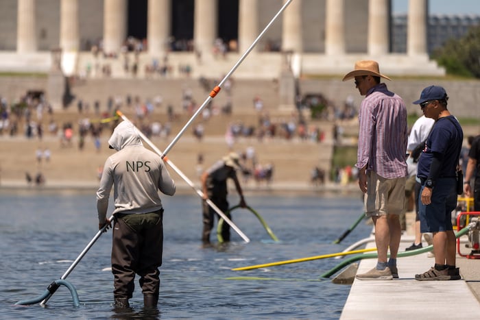 Troubled Reflecting Pool faces fresh scrutiny over vandalism claims and duck deaths