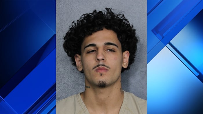Man arrested after striking police vehicle while fleeing Hallandale Beach officer, cops say