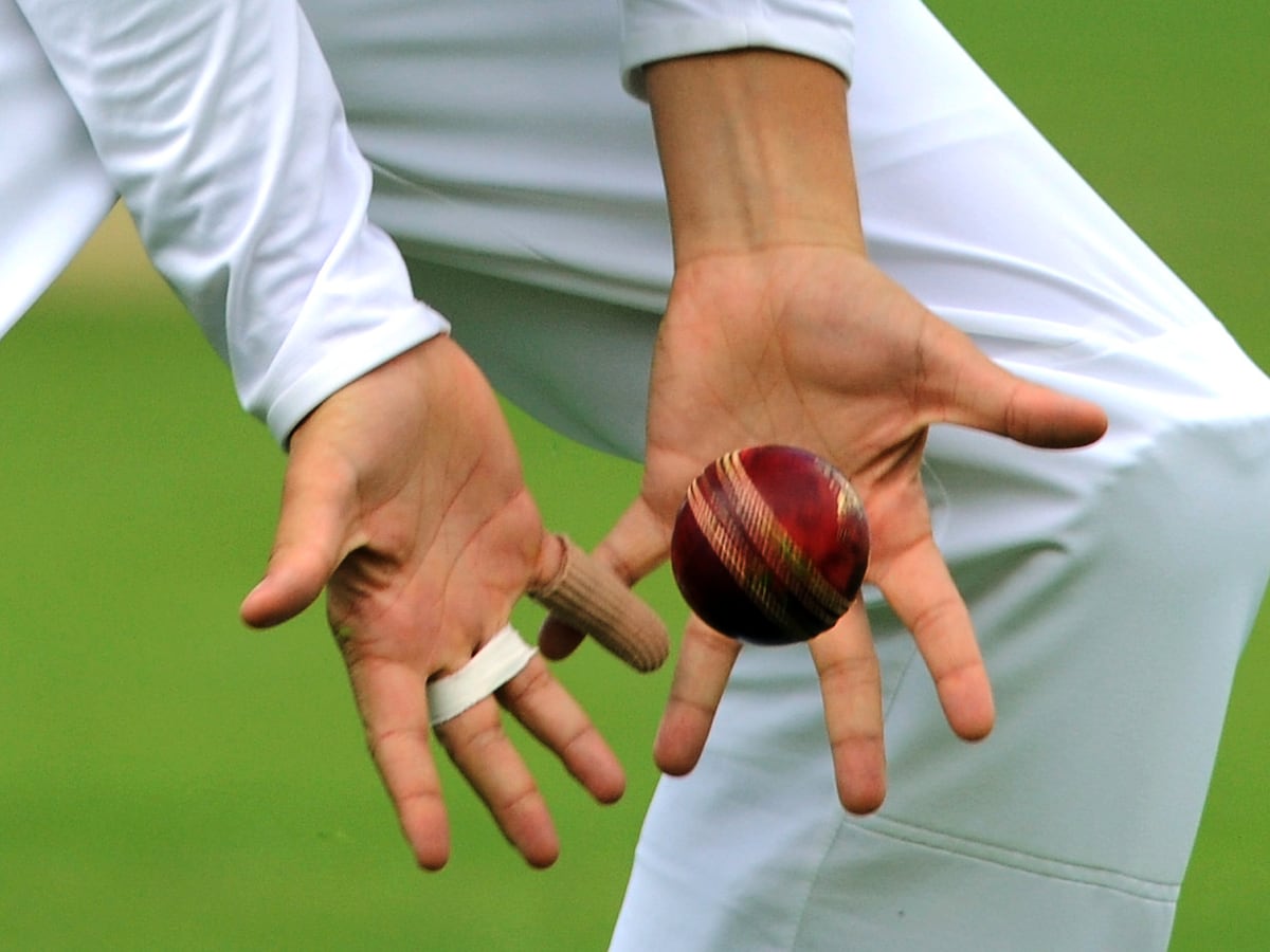 Image linked from the original feed: Amateur cricket match goes viral after cheating allegation