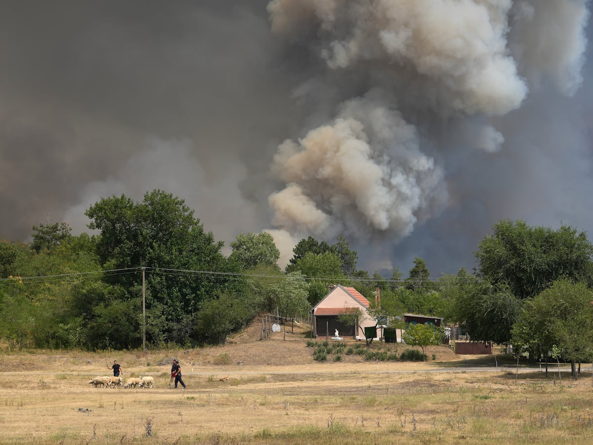 Image linked from the original feed: Serbia trabaja para contener los incendios forestales mientras una ola de calor azota los Balcanes