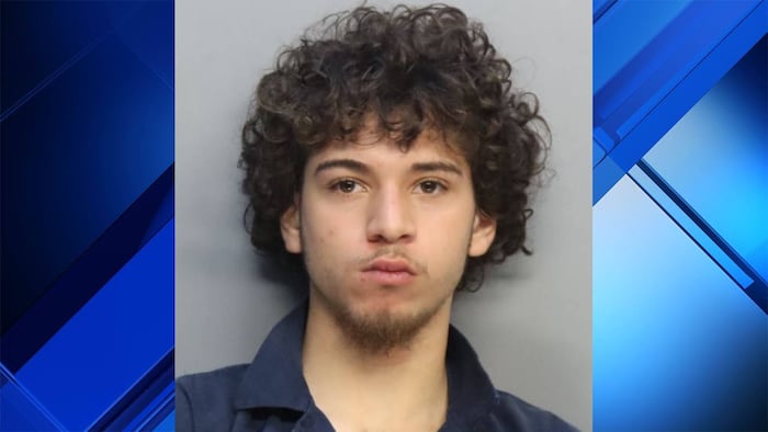 Man accused of critically wounding victim in stabbing outside Miami ...