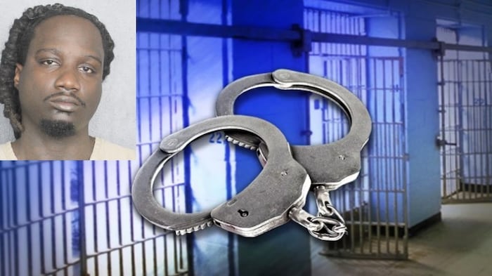 Police: Georgia man on probation arrested after fleeing cops, crashing ...
