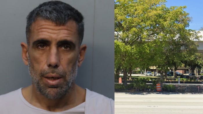Man arrested after woman found dead under Metrorail in Miami-Dade