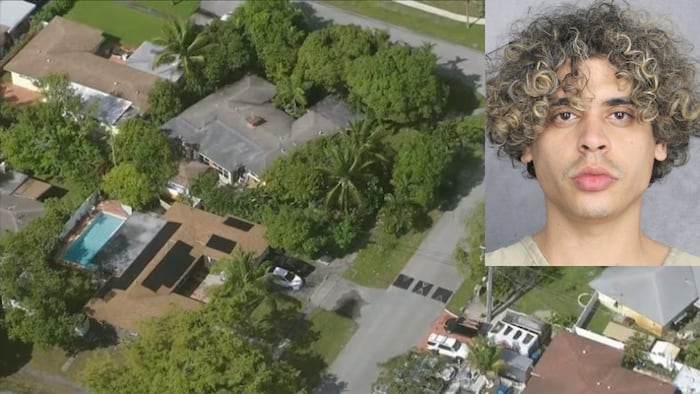 Police: Man arrested after carjacking, chase ends in Fort Lauderdale crash