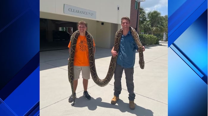 Hunters capture 19-foot Burmese python, longest ever caught in Florida