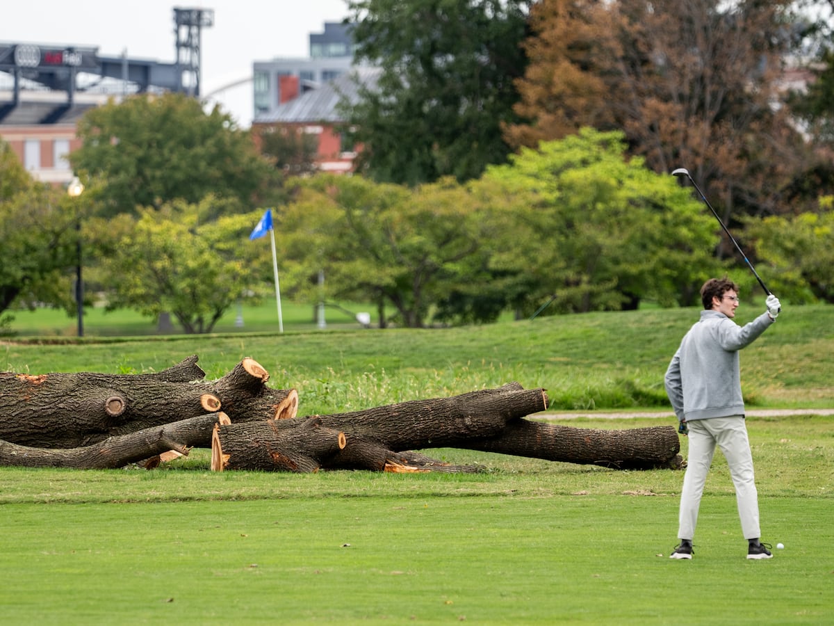 Park service could remove more than 500 trees at historic golf course Trump wants to redesign