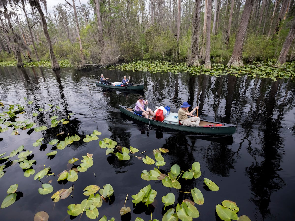 Image linked from the original feed: Georgia's Okefenokee Swamp among new additions to join UNESCO's World Heritage List