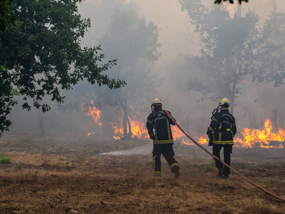 Image linked from the original feed: Wildfire leads to evacuations in some suburbs of the French city of Bordeaux