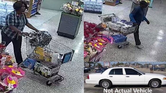 Crooks caught on camera stealing $500 worth of groceries, beer from ...