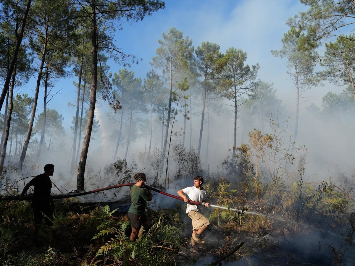 Image linked from the original feed: Los bomberos en Francia contienen un gran incendio forestal mientras vuelve el calor