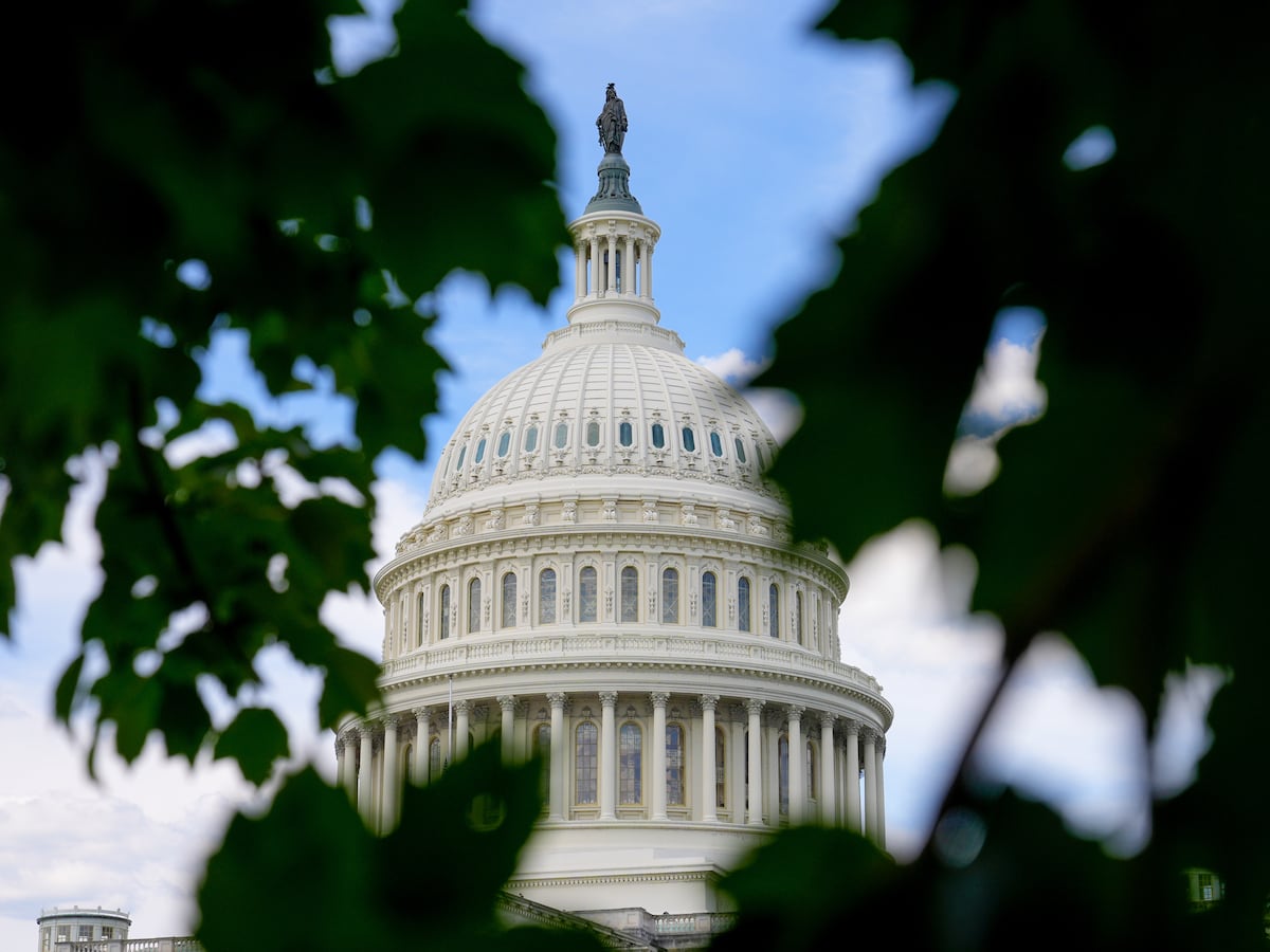 Image linked from the original feed: Georgia teen pleads guilty to gun charge for running onto Capitol grounds with loaded shotgun