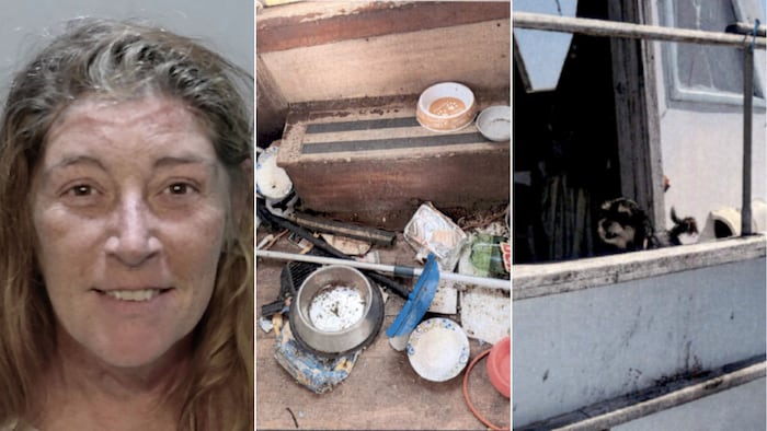 Woman accused of leaving sick dogs in ‘deplorable conditions’ on boat ...