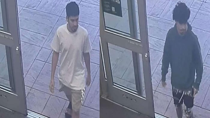 Hialeah men accused of stealing over $30K in Target’s LEGO toys face new Publix ...