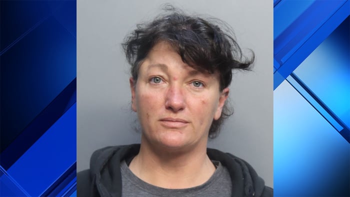 MDSO: Iowa woman surrenders at Miami-Dade jail after punching teenage girl in face on Carnival cruise ship