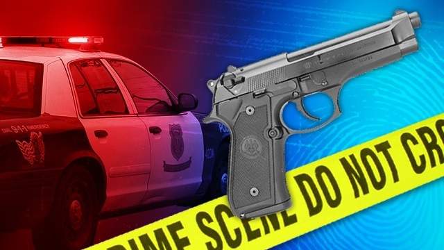 Chief: Florida officer fatally shot man who pointed gun at him