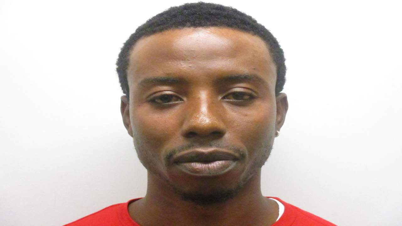 Florida Keys Man Arrested After Kicking Cat In Face Deputies Say