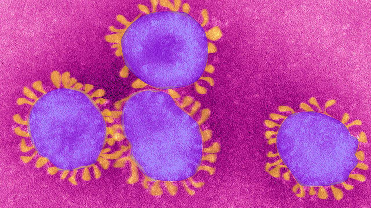 Sen. Rick Scott fears threat of deadly Wuhan coronavirus